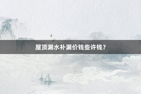 屋顶漏水补漏价钱些许钱？