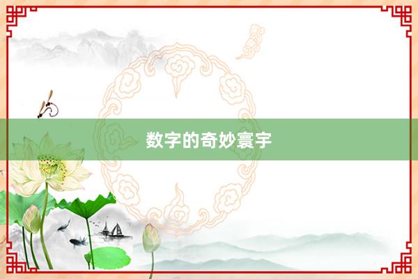 数字的奇妙寰宇