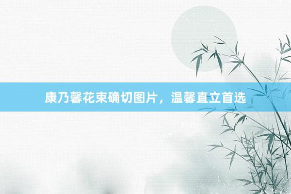 康乃馨花束确切图片，温馨直立首选